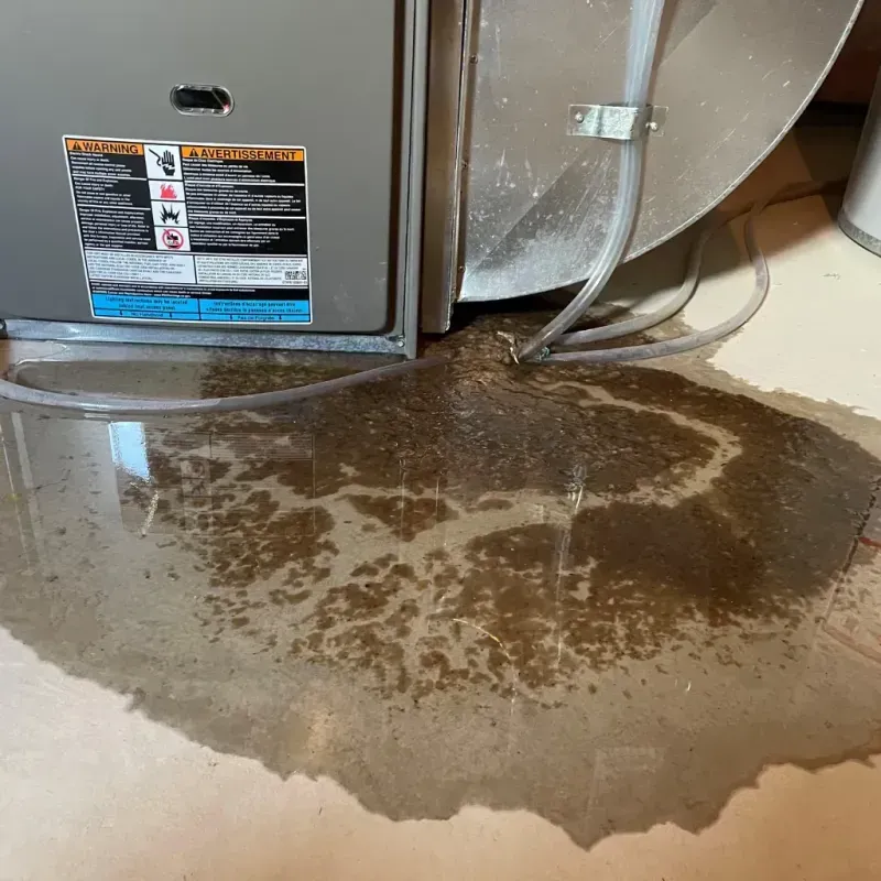 Appliance Leak Cleanup in Rochelle, IL